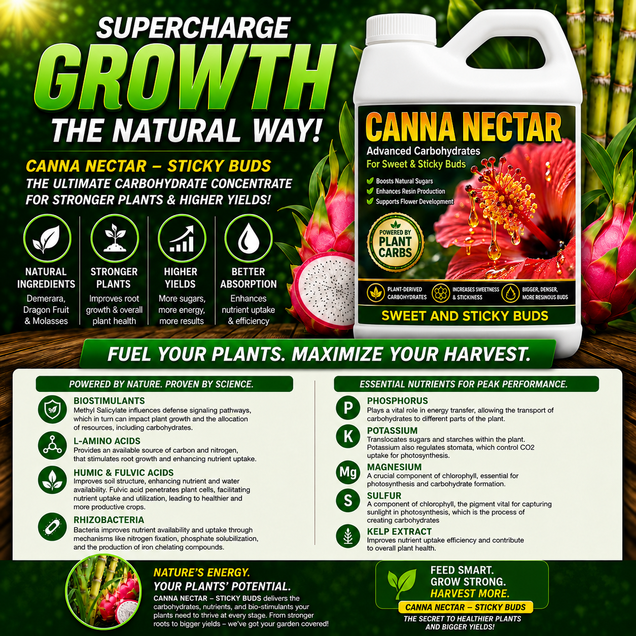 Canna Nectar, Plant Carbohydrates