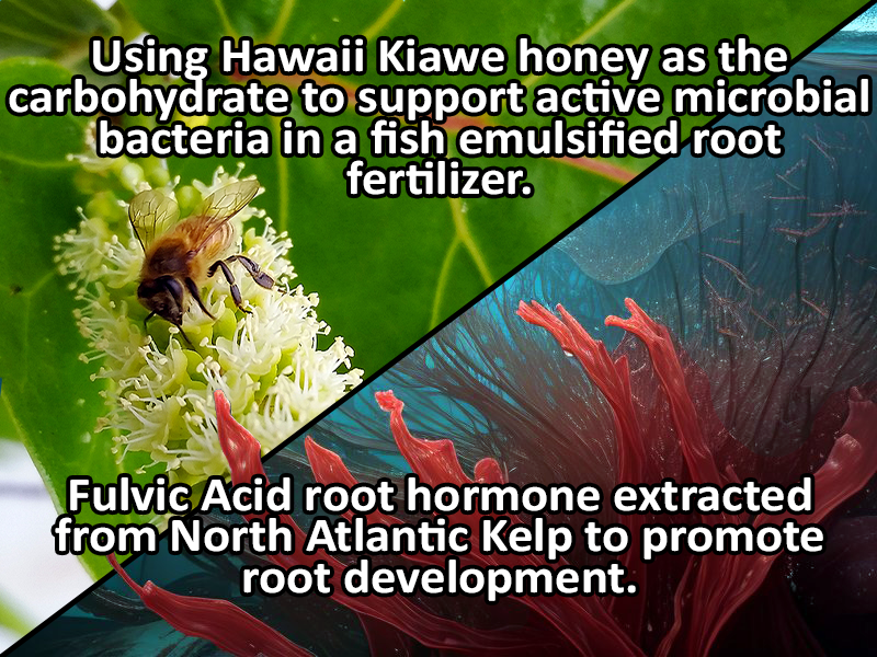 Fish Emulsion with Kelp & Fulvic Acid