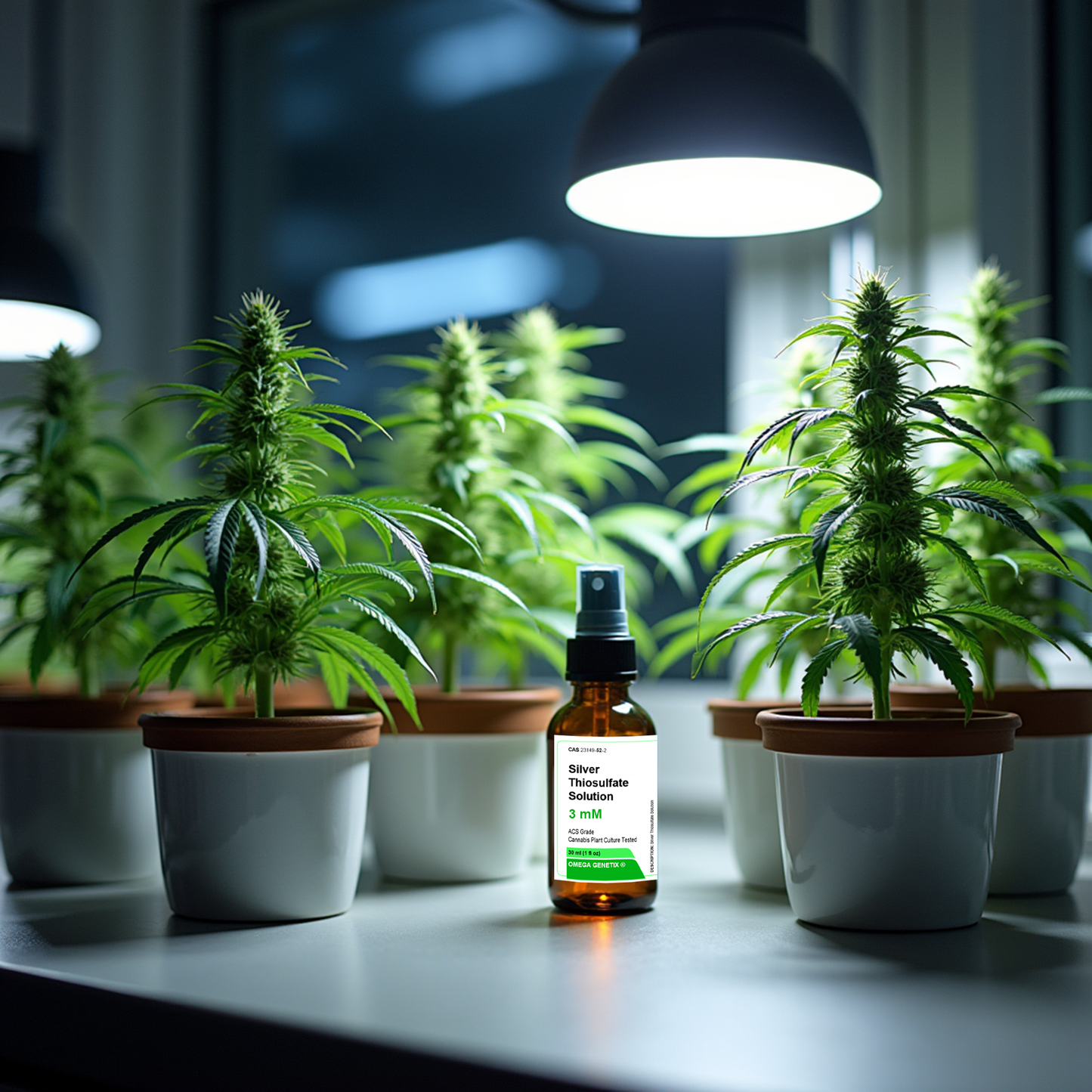 Cannabis Feminizing Kit