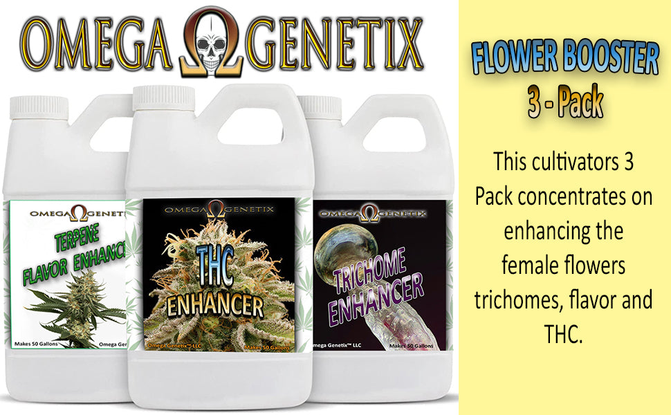 Flower Booster 3-Pack