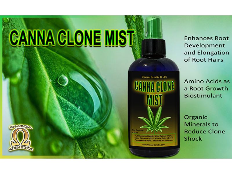 Canna Clone Mist