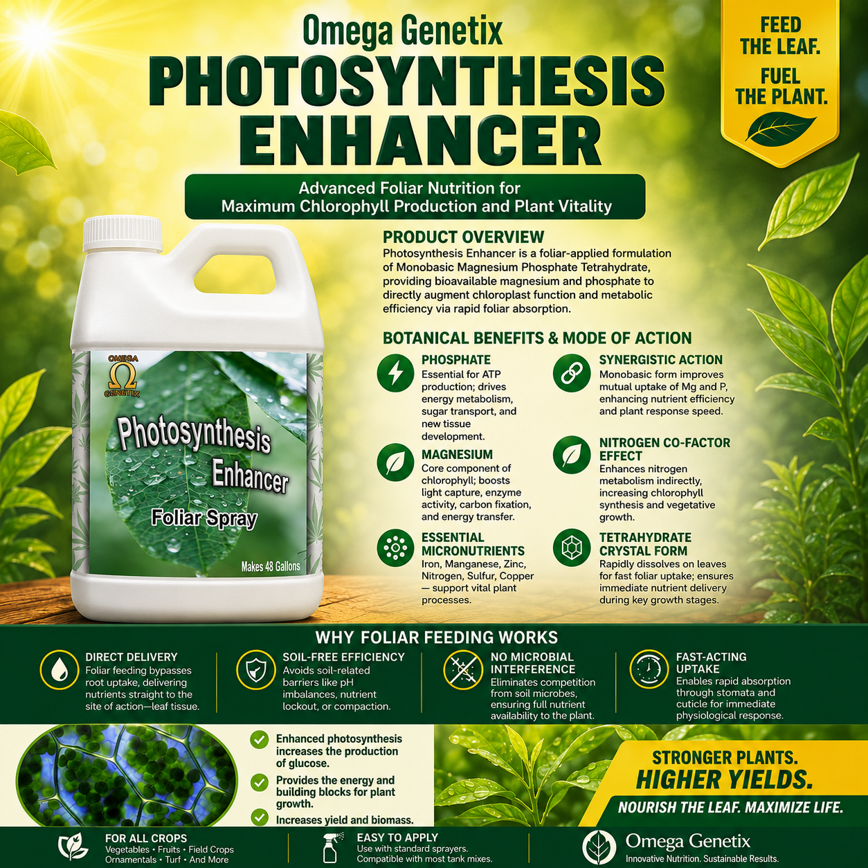 Photosynthesis Enhancer