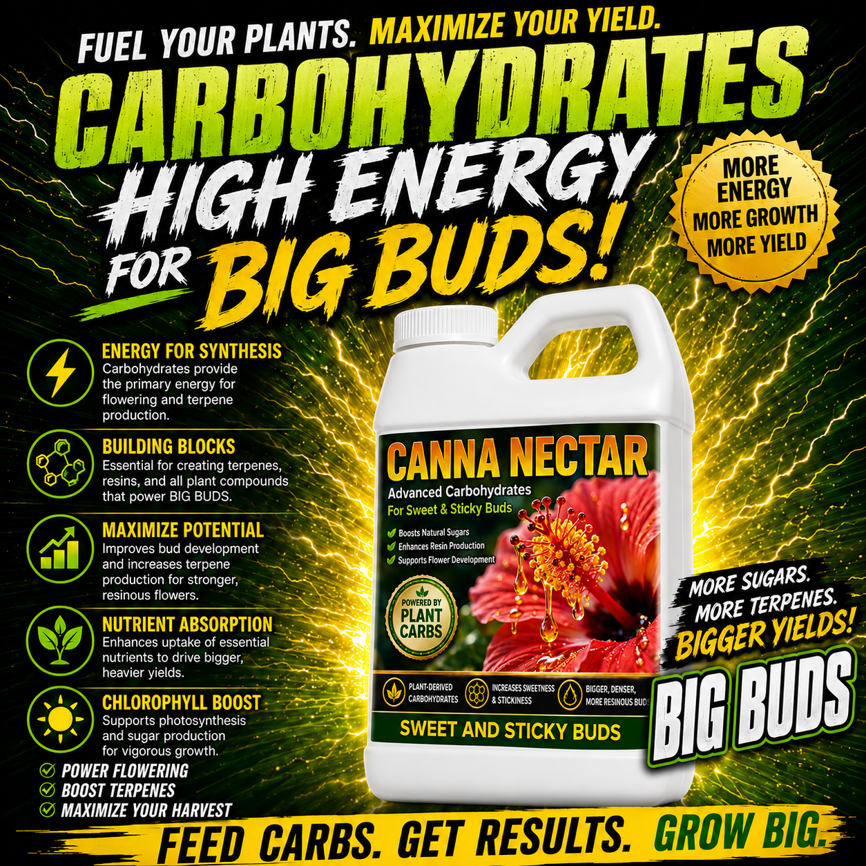 Canna Nectar, Plant Carbohydrates