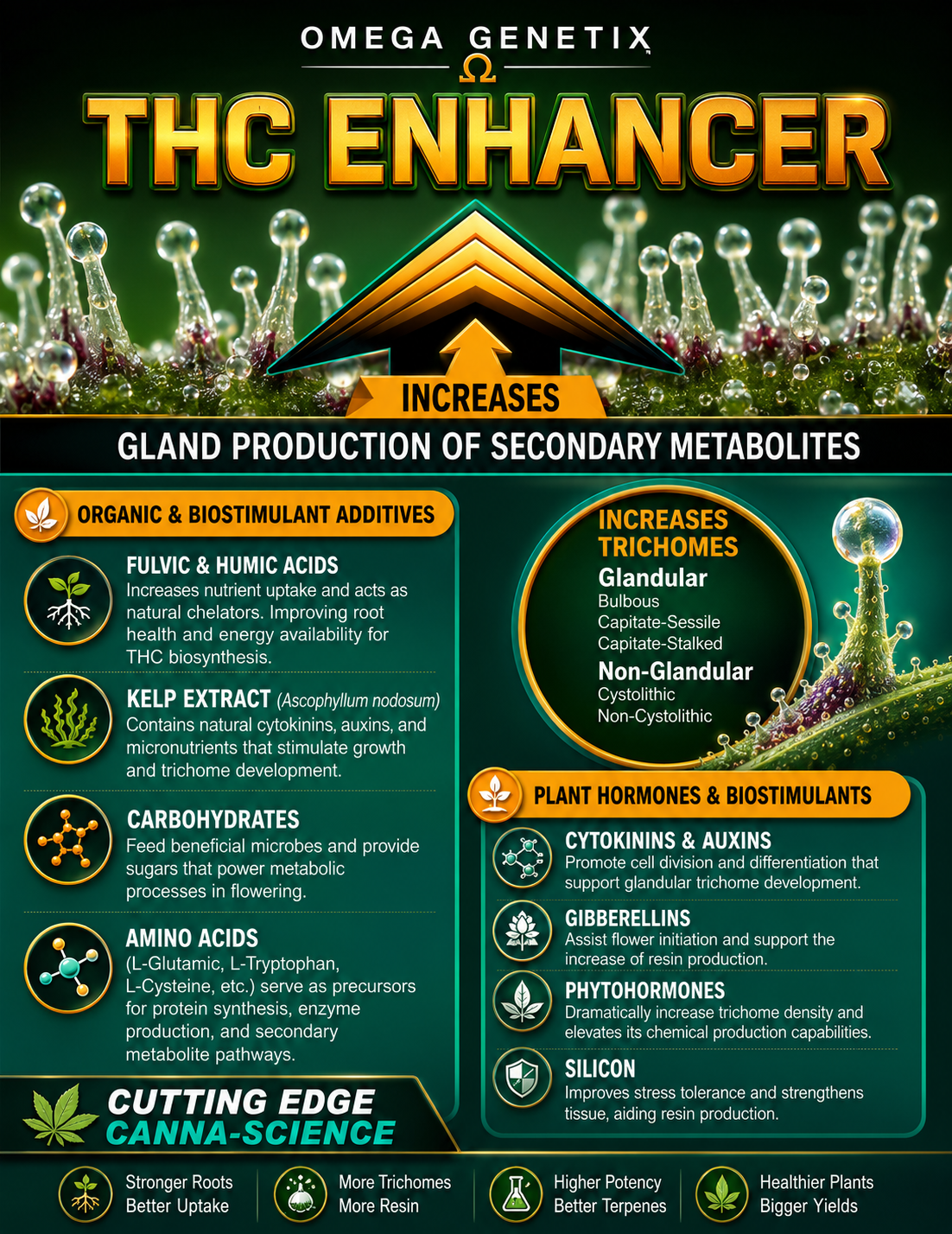 THC Enhancer