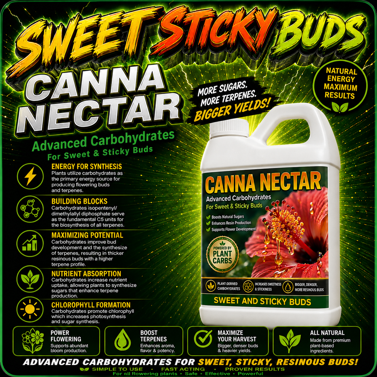Canna Nectar, Plant Carbohydrates
