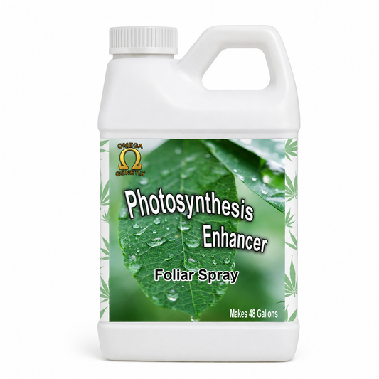 Photosynthesis Enhancer