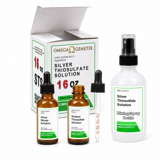 Silver Thiosulfate Solution Concentrate, 16 Oz.