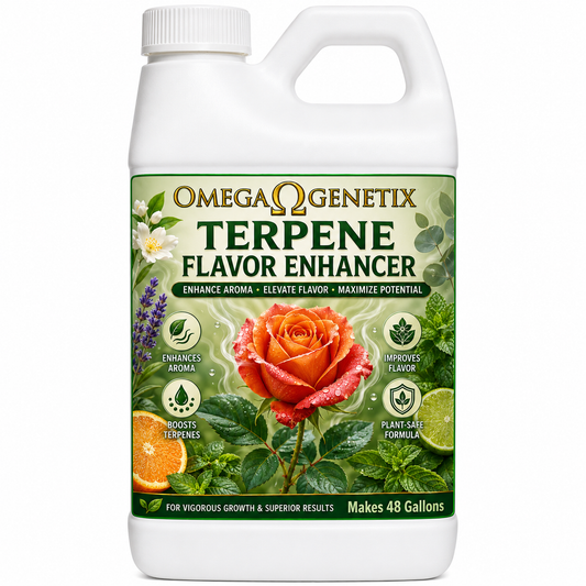 Terpene Flavor Enhancer