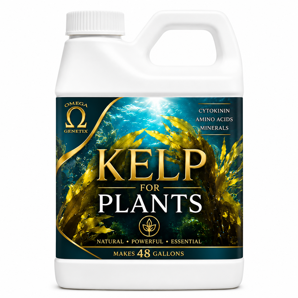 Kelp for Kannabis