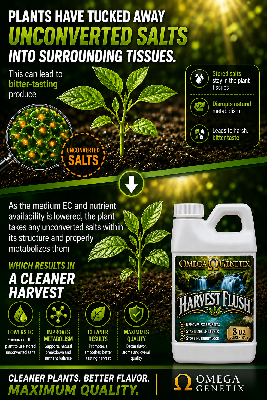 Harvest Flush