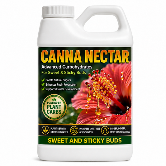 Canna Nectar, Plant Carbohydrates