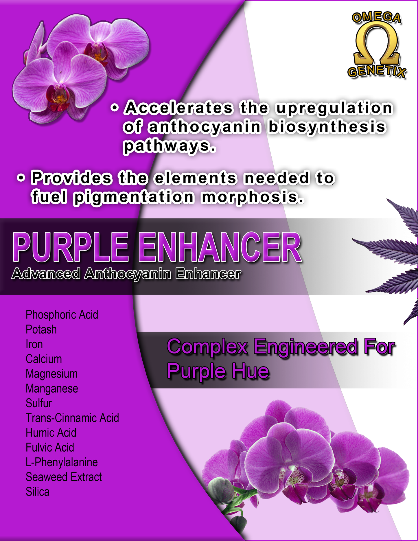 Purple Enhancer