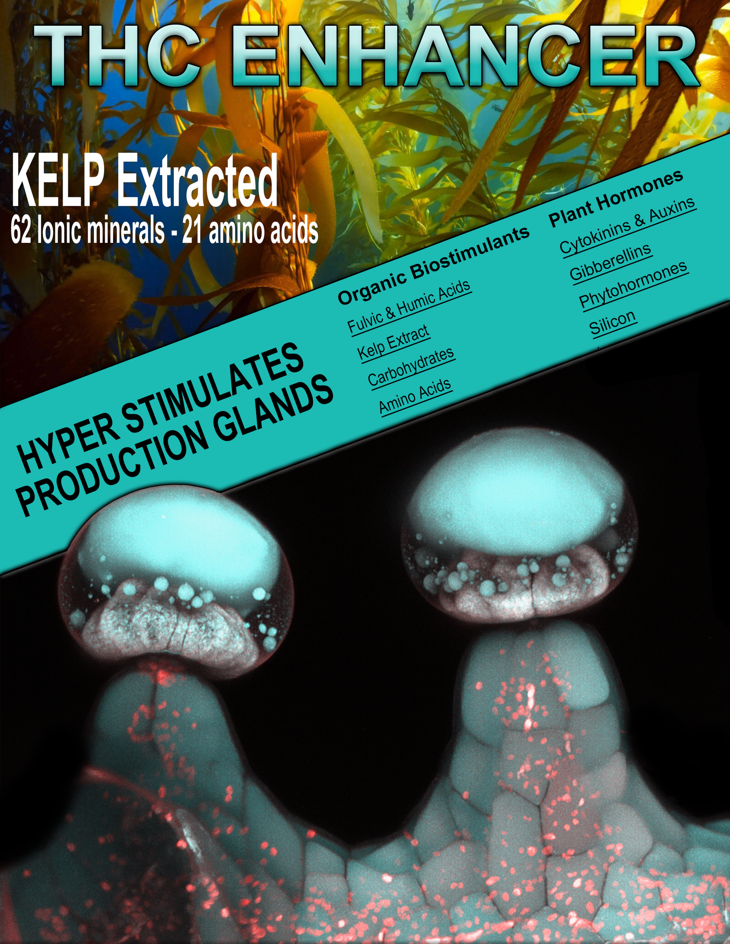 THC Enhancer