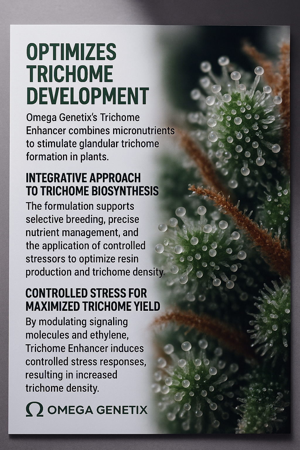 Trichome Enhancer
