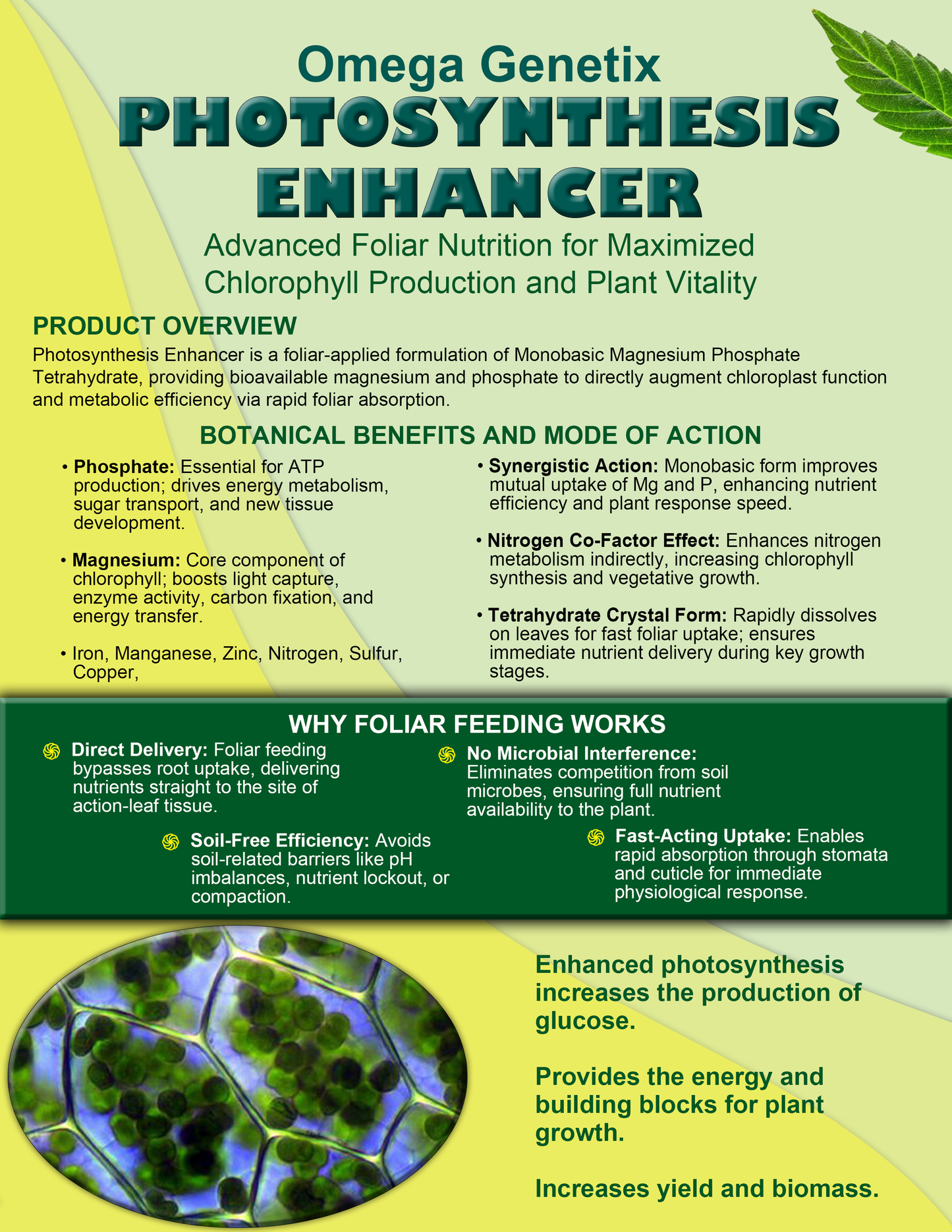 Photosynthesis Enhancer