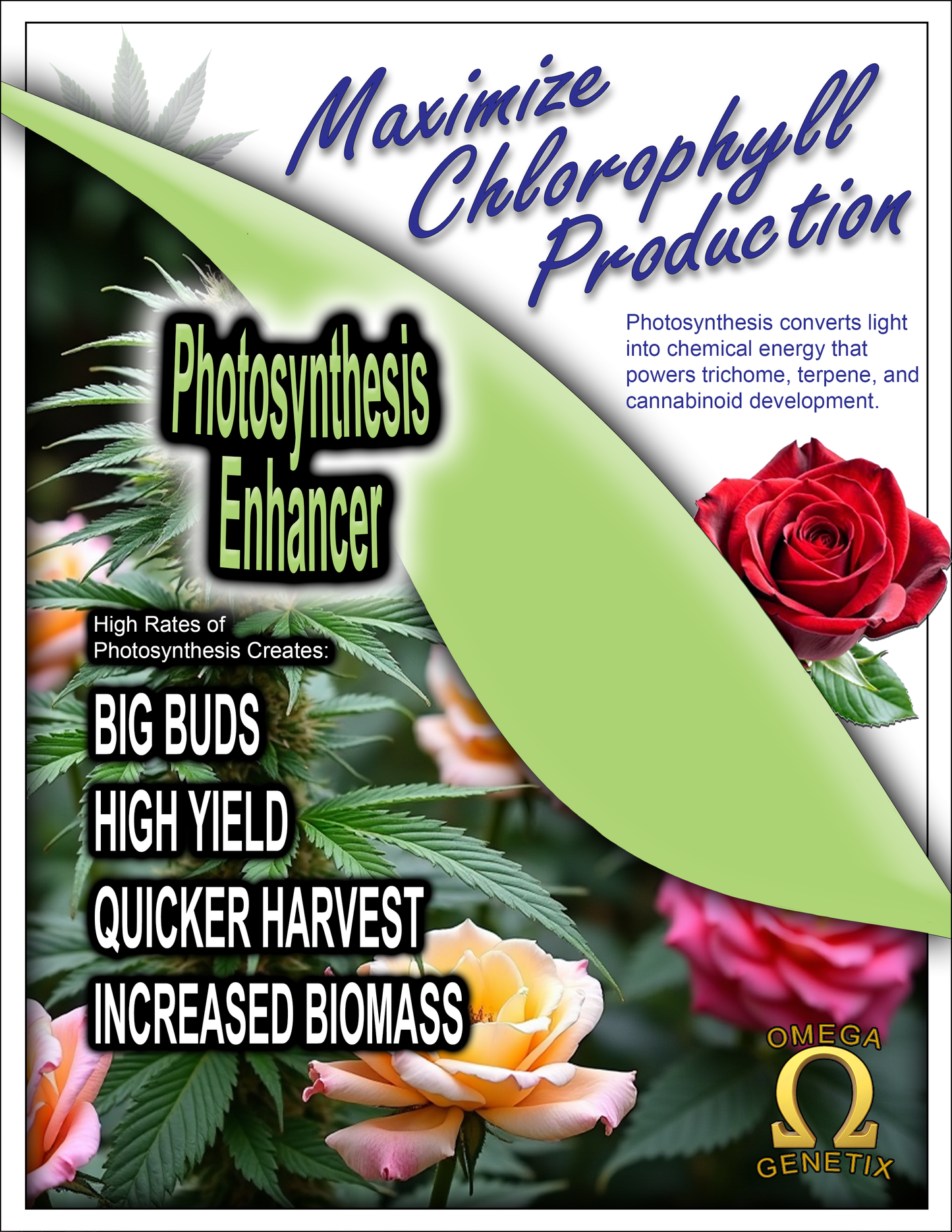 Photosynthesis Enhancer