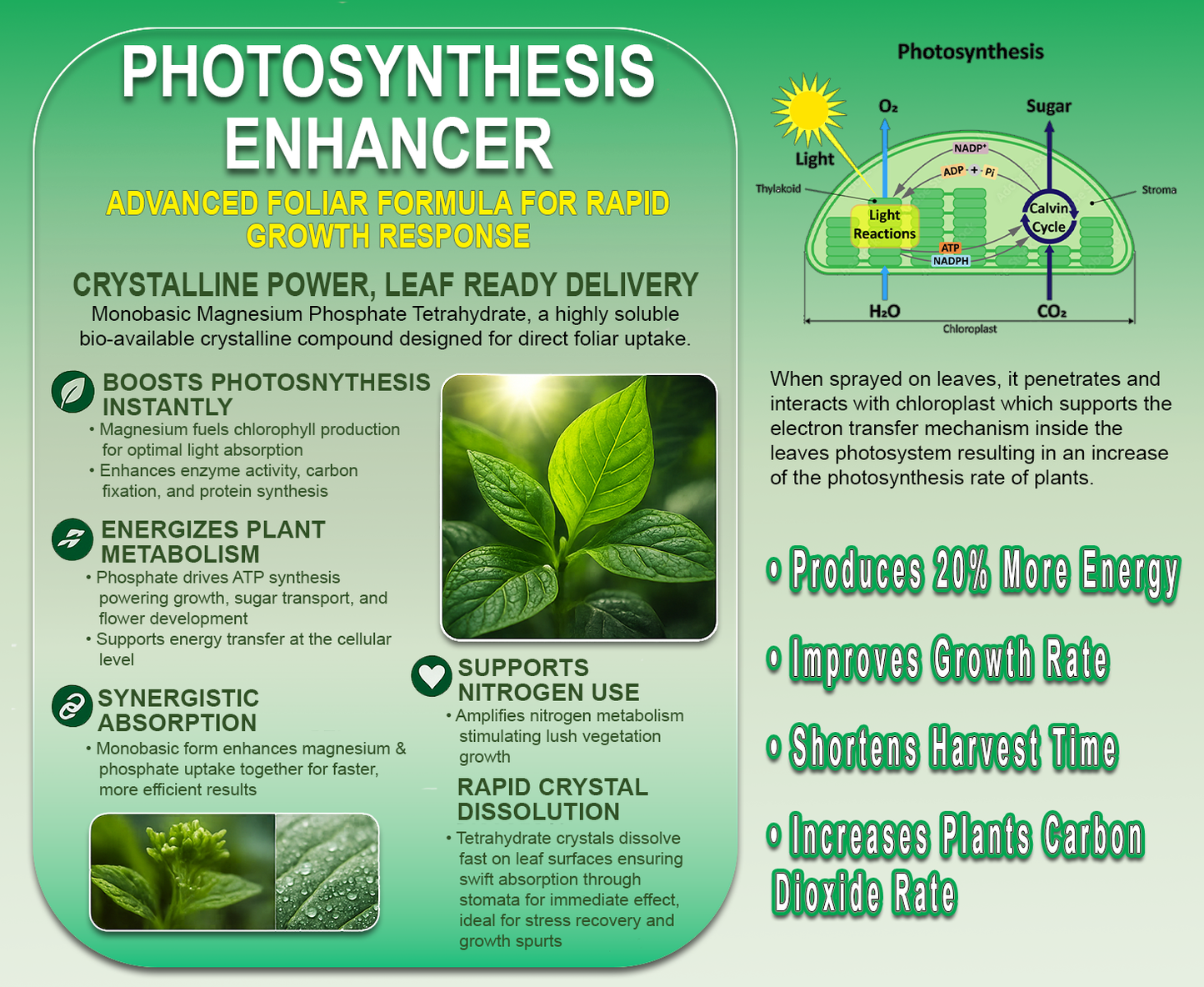 Photosynthesis Enhancer